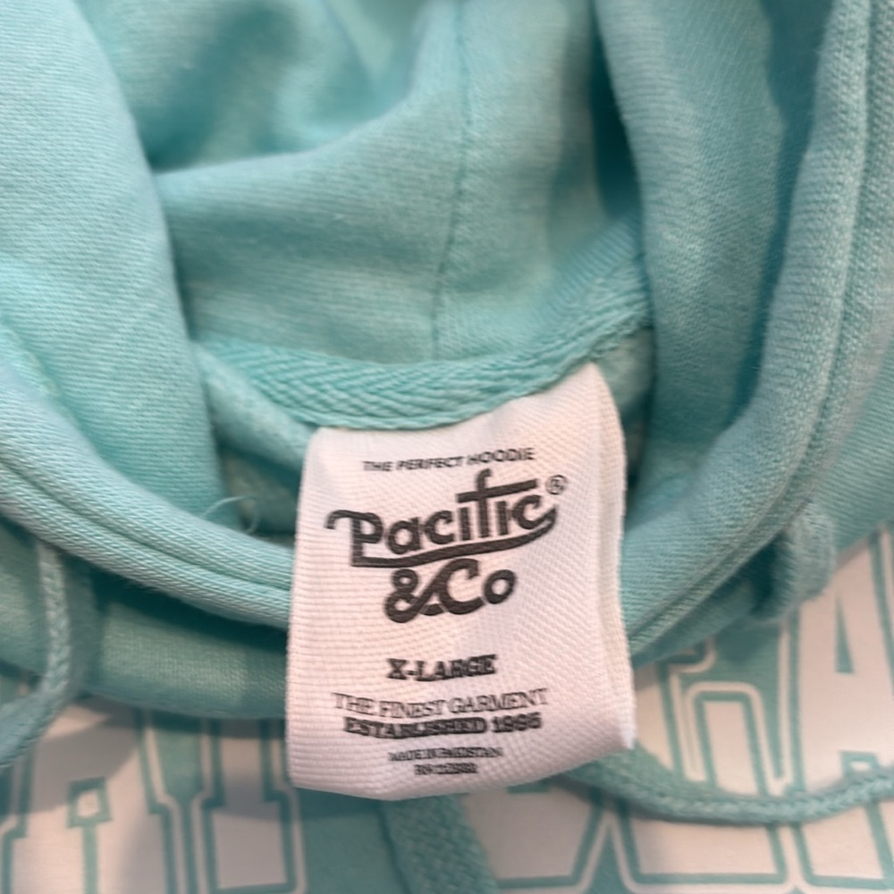 DelRay Beach Souvenir Hoodie (Teal Color) - Picture 8 of 9
